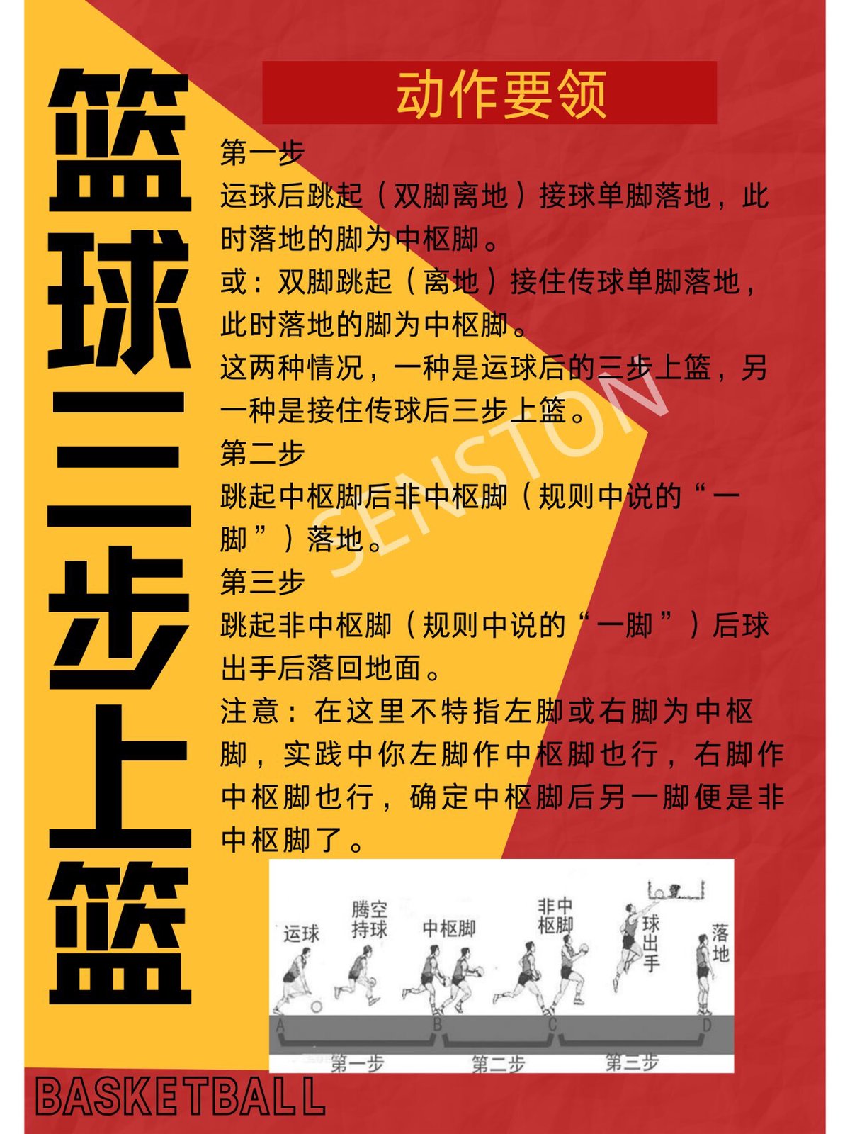 篮球训练教程中文版视频